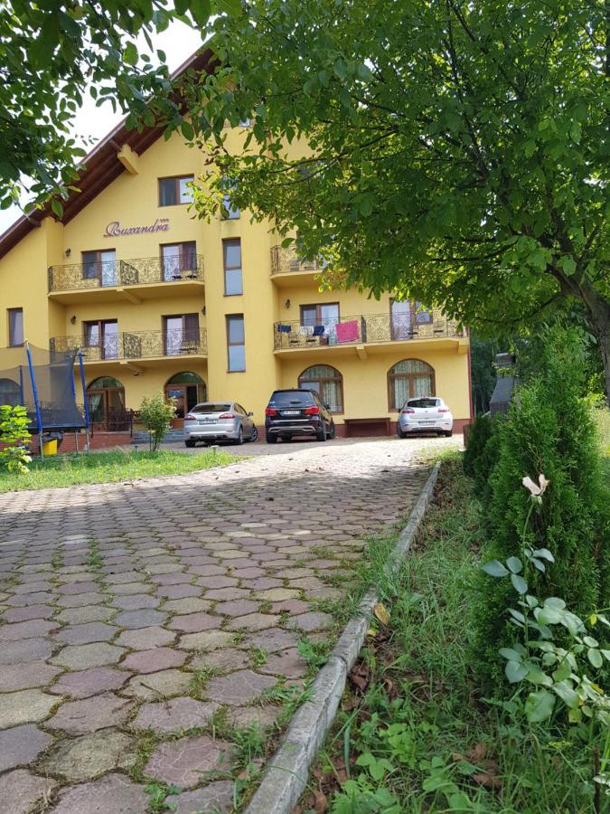 Pensiunea Ruxandra Băile Unu Mai Exteriér fotografie