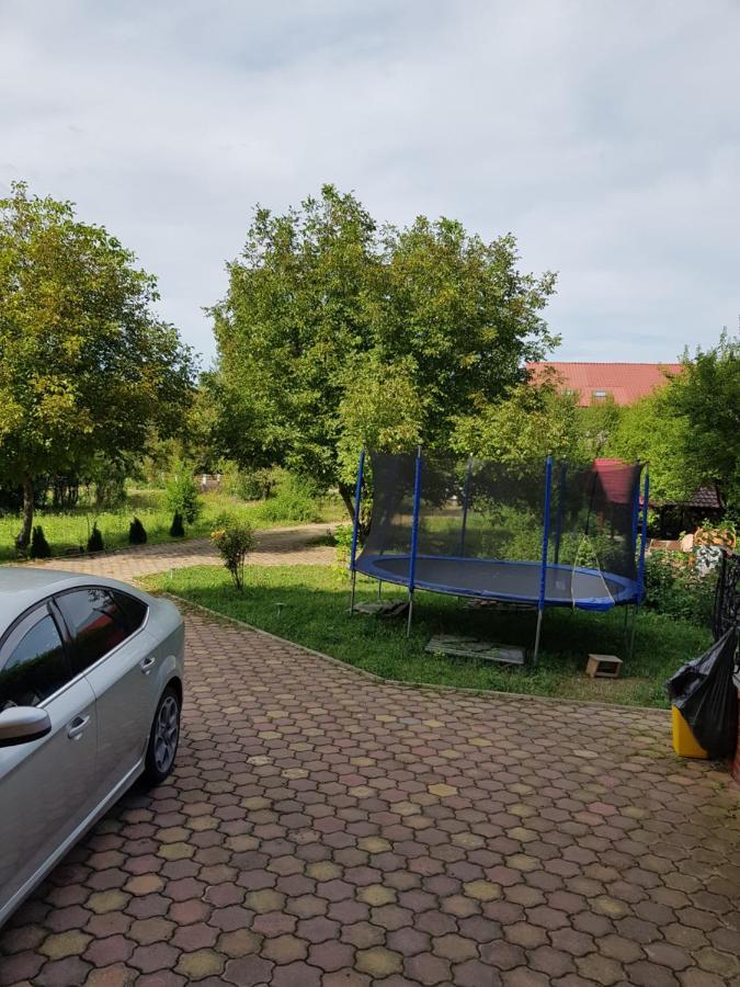 Pensiunea Ruxandra Băile Unu Mai Exteriér fotografie